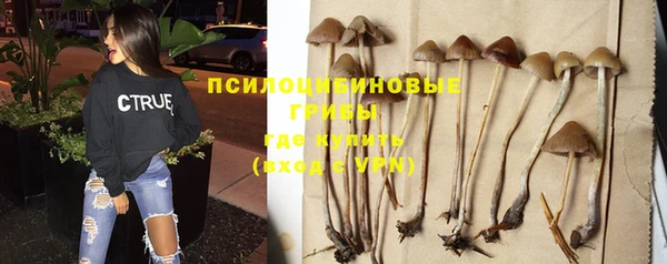 экстази Аркадак