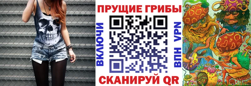 Псилоцибиновые грибы прущие грибы  кракен онион  Усть-Джегута 